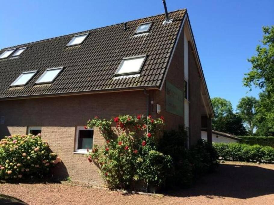 Boszicht 5 aan de Kust Villa Oostkapelle Buitenkant foto