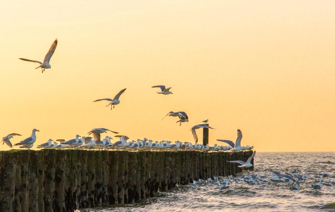 Boszicht 5 aan de Kust Villa Oostkapelle Buitenkant foto